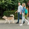 Dog Training Treat Bag view 2