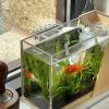 Aquarium Tool Holder view 2