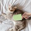 Cat Grooming Brush view 2