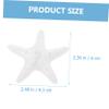 BELLIFFY White Starfish Decoration view 3