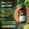 Nordholz Sauna Infusion 250 ml, 60 Scents, Premium Concentrate view 4