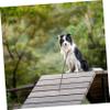 Halloween Plastic Chain for Dogs, Realistic PVC, Silver view 4