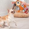 Arrovarp Squeaky Plush Toy for Dogs view 4
