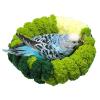 Bird Hammock for Cage - Warm Bird Beds with Nest view 1