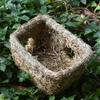 BUGUUYO Handmade Pet Nest from Mountain Grass for Small Pets view 4