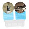 BESPORTBLE Reptile Incubator view 2