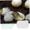 BESPORTBLE Reptile Incubator view 3