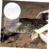 BESPORTBLE Reptile Incubator view 4
