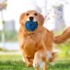 Dog Giggle Ball view 3