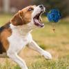 Dog Giggle Ball view 4