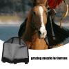 Breathable Horse Fly Mask with Nose Cover view 4