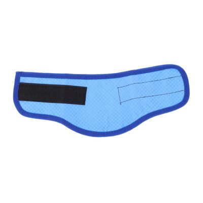 BESPORTBLE Cool Dog Collar