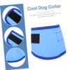 BESPORTBLE Cool Dog Collar view 2
