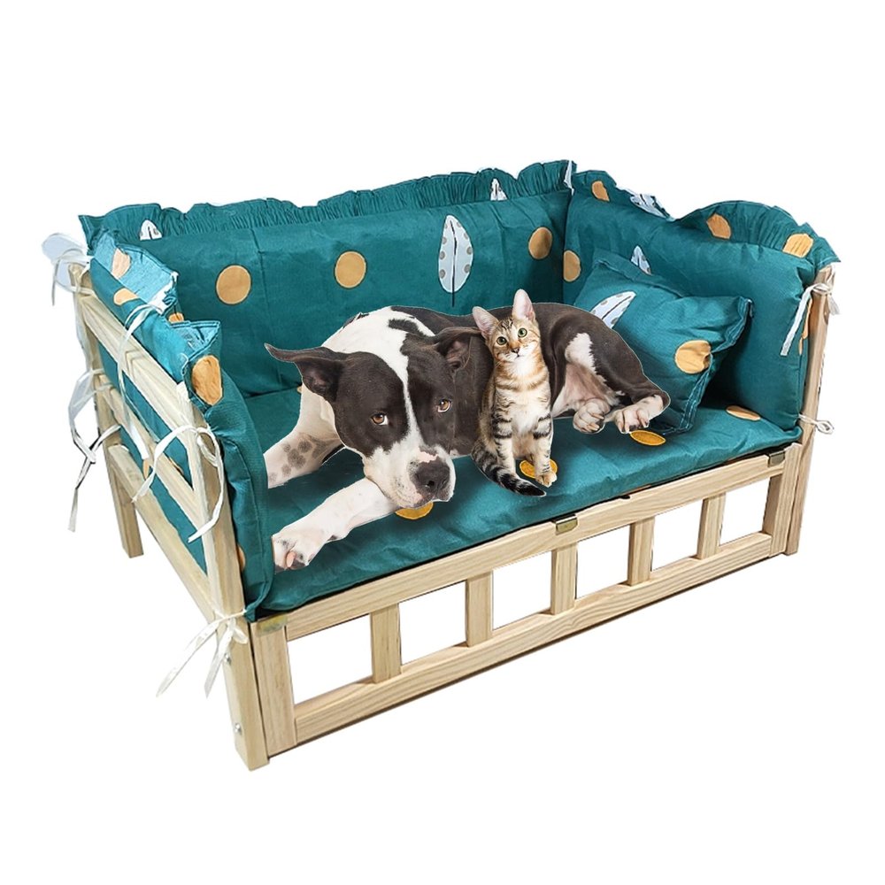 Elevated Dog Bed with Cushion