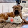 Heartbeat Simulator Box for Plush Toys view 2