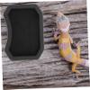 BESPORTBLE 10 Pack Reptile Feeding Bowls view 4
