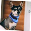 BELLIFFY Cooling Dog Bandana view 2