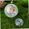 BUGUUYO Transparent Hamster Exercise Ball view 4