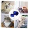 BELLIFFY Pet Ash Storage Container view 3