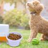Fbinys Portable Dog Bowl view 4
