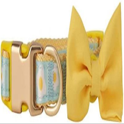 Chihuahua Dog Leash and Collar Set with Bow Tie, Yellow, XS