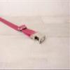 JKDSAO Personalized Dog Collar with Leash, Adjustable Puppy Collar with Name Tag, 5 Gren, XS view 4