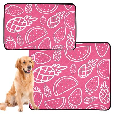 Washable Non-Slip Dog Mats, 61 x 91 cm, Summer Lover, 2-Pack