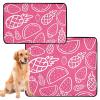 Washable Non-Slip Dog Mats, 61 x 91 cm, Summer Lover, 2-Pack view 1