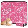 Washable Non-Slip Dog Mats, 61 x 91 cm, Summer Lover, 2-Pack view 2