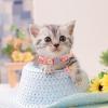 Cat Collar with Bell view 3