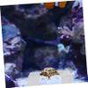 BELLIFFY ABS Sunning Platform with Suction Cup for Turtles view 4