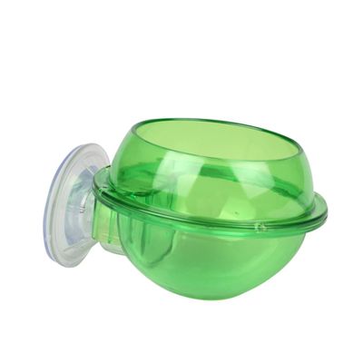 BESPORTBLE Reptile Feeder and Water Bowl