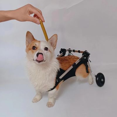 Dog Wheelchair for Small Dogs with Paralyzed Limbs, Adjustable Mobility Aid