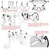 Dog Wheelchair for Small Dogs with Paralyzed Limbs, Adjustable Mobility Aid view 3