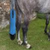 Horse Tail Bag, Adjustable Tail Wrap, Breathable view 2