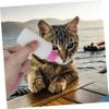 COLLBATH 2-Pack Pet Bottles for Puppies and Kittens view 3