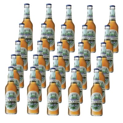 Trade Islands Tea & Herbs Mint 'n' Lime, 25 Bottles, 11.16 fl oz Each