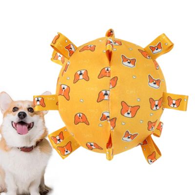 Football Squeaky Dog Toy and Chew Toy