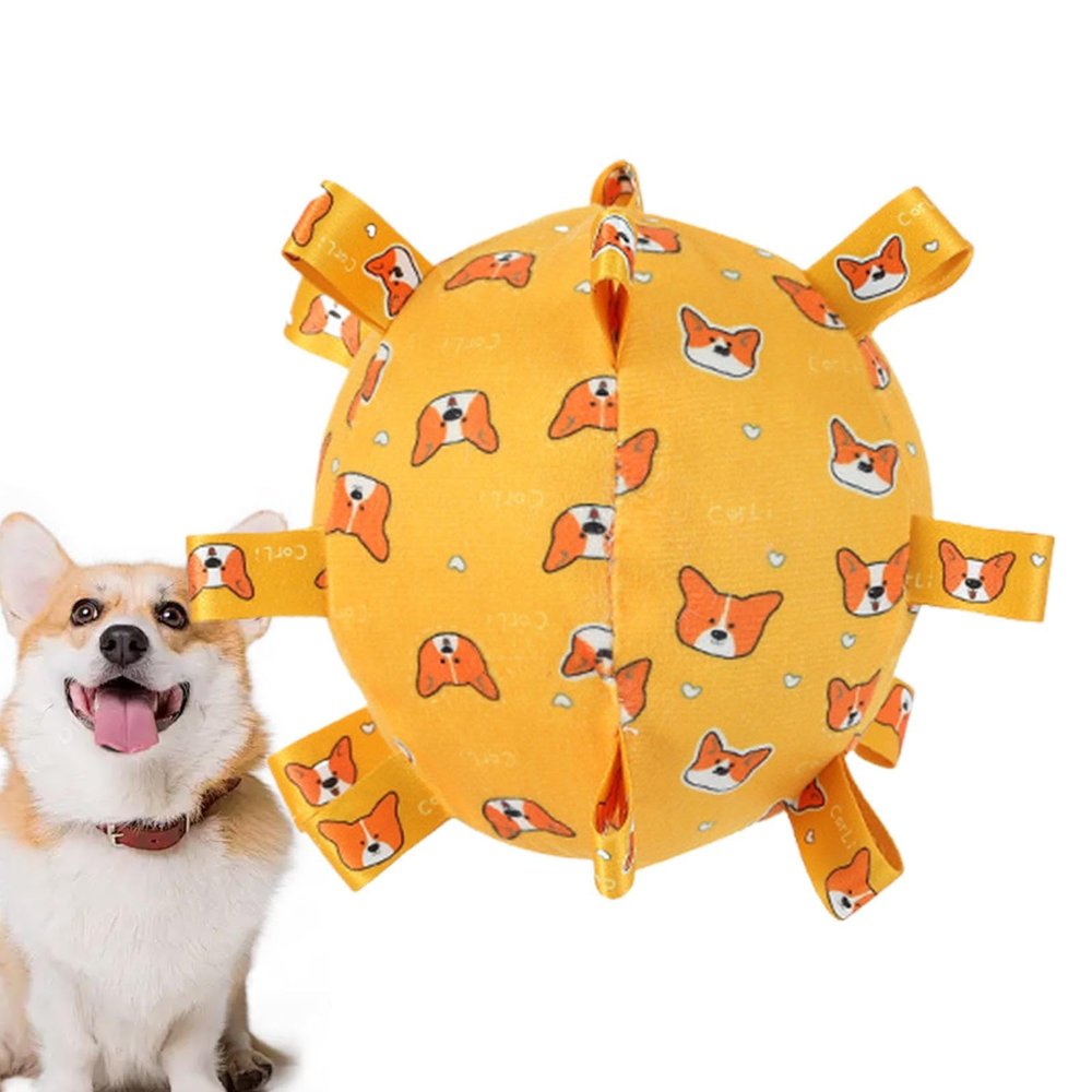 Football Squeaky Dog Toy and Chew Toy