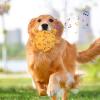Football Squeaky Dog Toy and Chew Toy view 2