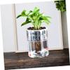 GRIRIW Clear Plastic Fish Bowl view 4