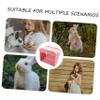 WOONEKY Small Pet Food Stand, Plastic Rabbit Hay Holder for Cages view 3
