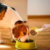 Pet Food Feeding Scoop view 4