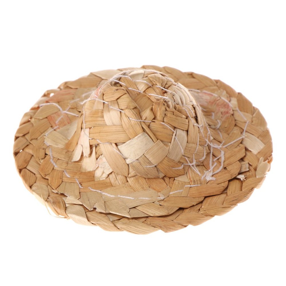 WOEIFGV Bearded Dragon Straw Hat