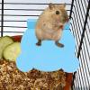 Hamster Activity Board view 2