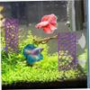 Happyyami 1-Set Aquarium Tunnel for Betta Fish, Decorative Mesh Shrimp Hideout view 4