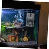 BESPORTBLE Aquarium Feeding Bowl, Acrylic Fish Feeder for Shrimp, Tool-Free Installation view 4