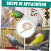 BESPORTBLE Wooden Bird Play Stand with Mirror view 3