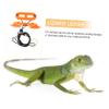 BELLIFFY 5-Piece Adjustable Leather Harness for Lizards and Bearded Dragons view 3