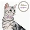 BELLIFFY Adjustable Cat Collars - 2 Pack view 3